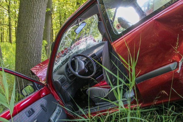 In diesen Kantonen ist das Risiko für Wildunfälle höher