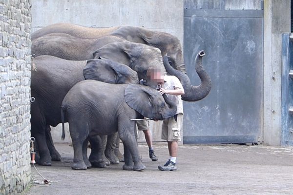 Deutschland: Bedrückende Aufnahmen aus dem Zoo Wuppertal