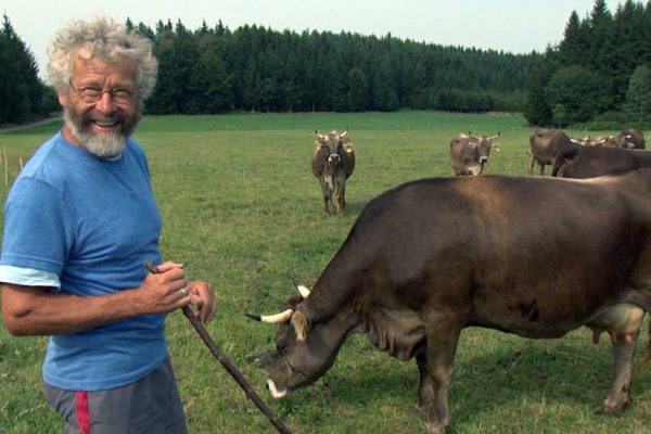 Das liebe Rindvieh – La suggestion de film durable