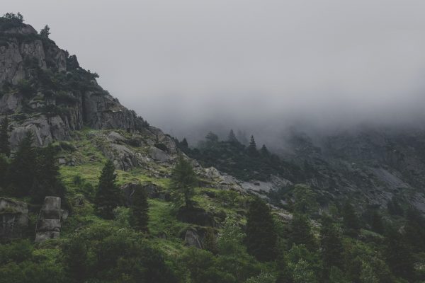 Wildnis in der Schweiz