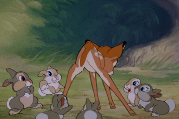 USA: Hobby hunter must watch Bambi in prison
