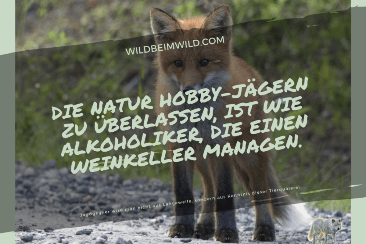 Die Natur Hobby-Jägern zu überlassen, ist wie Alkoholiker, die einen Weinkeller managen.