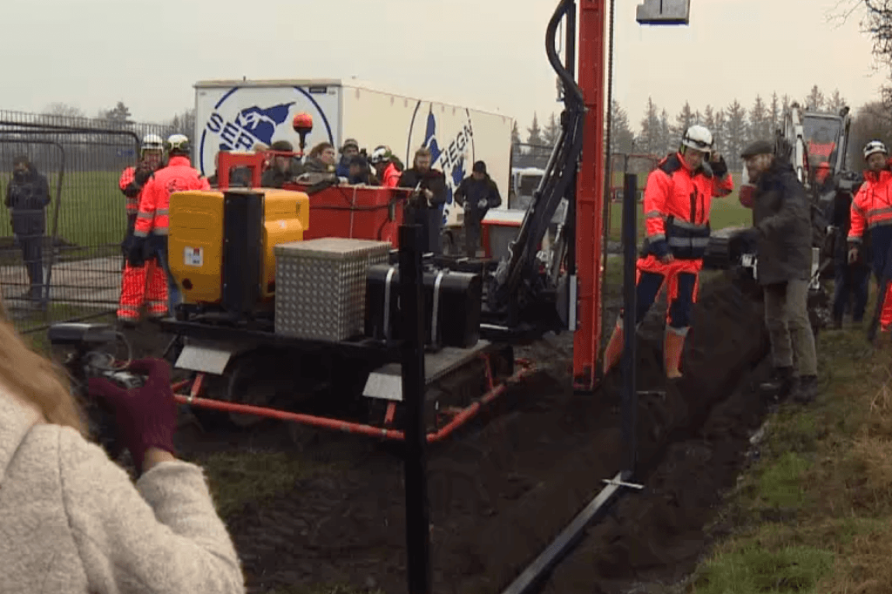 Grenzzaun Dänemark Wildschweine