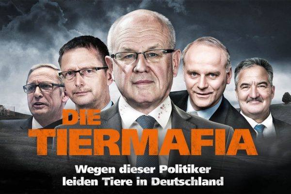 Deutschland: Tierschutz ist für Wahlentscheidung wichtig