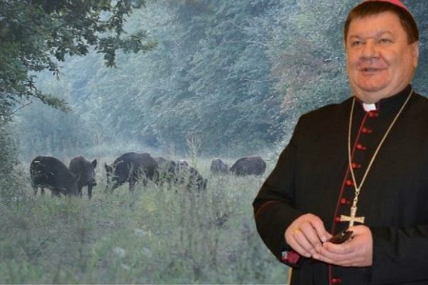 Kroatien: Bischof schiesst auf Mann statt auf Wildschwein
