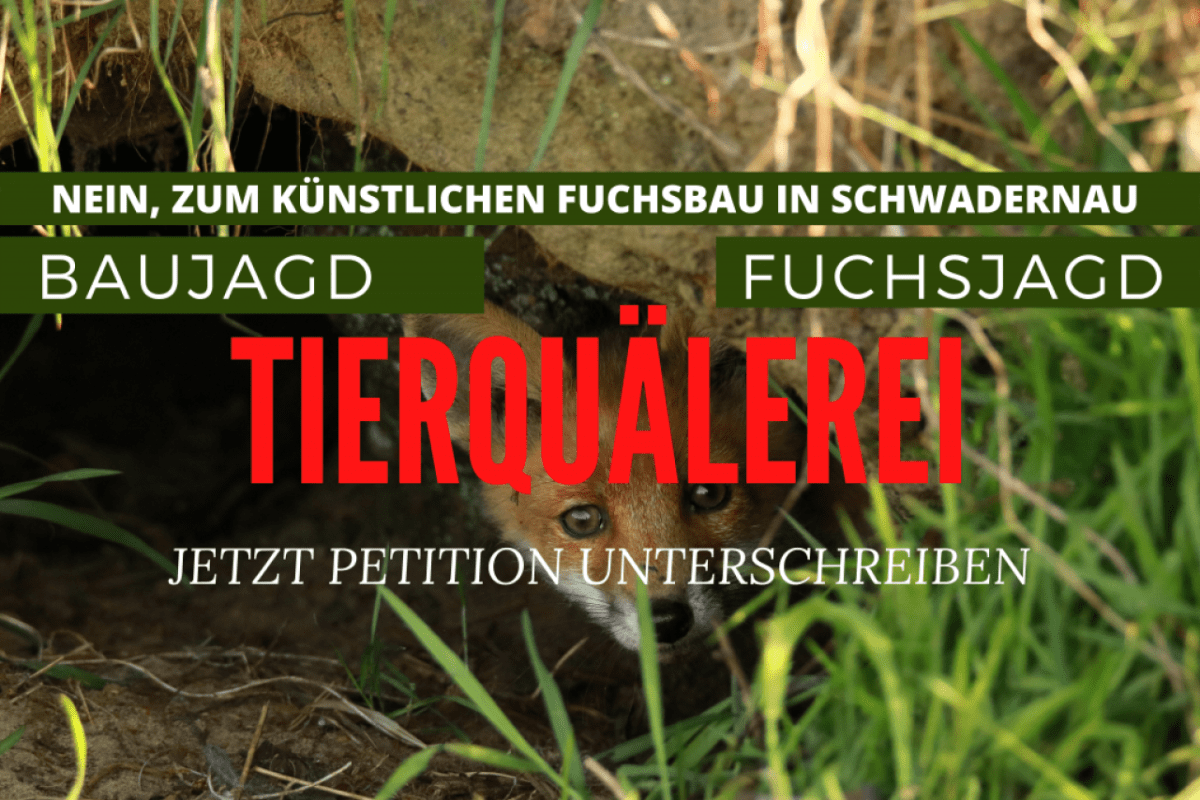 Petition Schliefanlage Schwadernau: Stoppt die Tierquälerei jetzt
