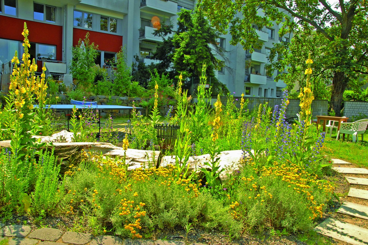 Vogelgezwitscher fördern mit naturnahen Gärten