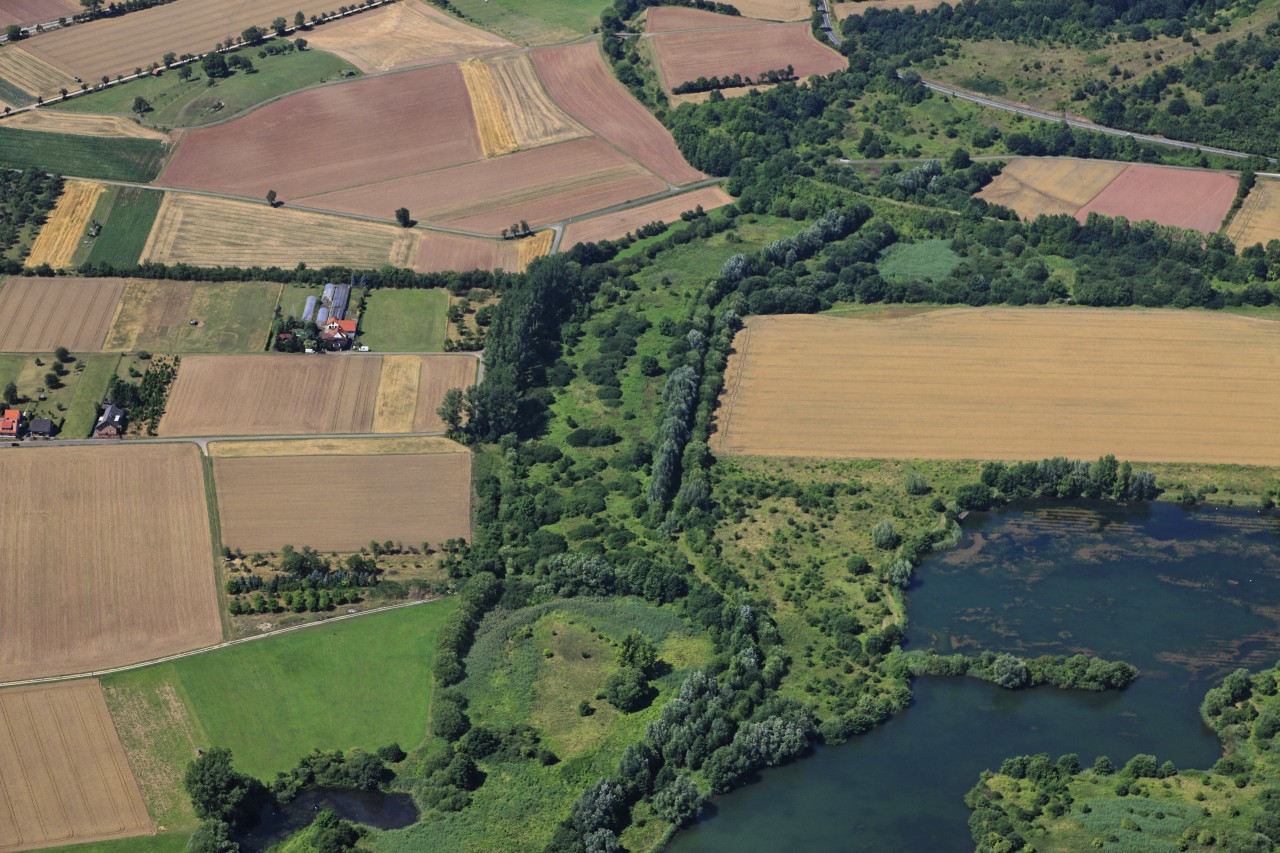 Naturschutz braucht ein Netzwerk aus Lebensräumen