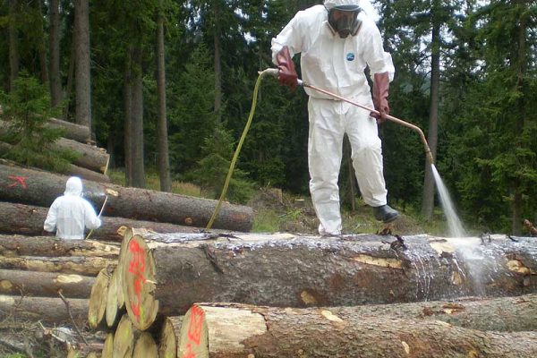 Yderst giftige insekticider påvist i schweizisk skov