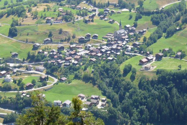 Valais: Wolf found dead with gunshot wound
