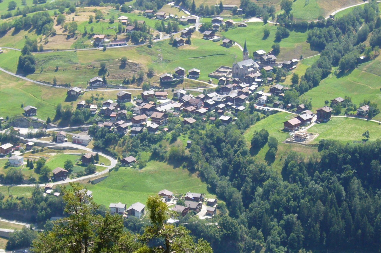 Wallis: Wolf mit Schusswunde tot aufgefunden