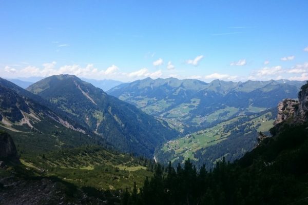 Swiss hobby hunters torment wild animals on driven hunt in Austria