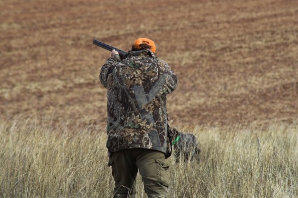 El hobby hunting es incultura