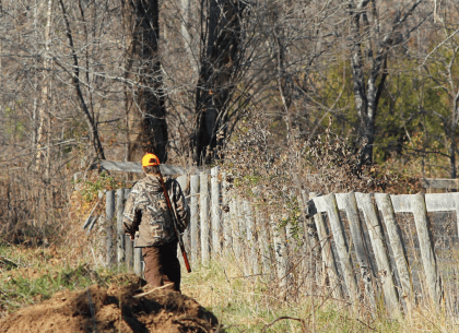 Salvaje entre lo salvaje