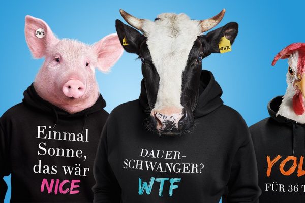 Mehr Tierschutz in Schweizer Mensas gefordert