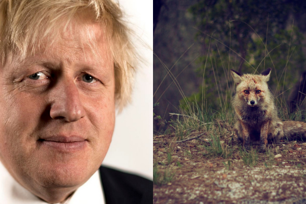 England: Politclown sieht Jagdgegner als Extremisten