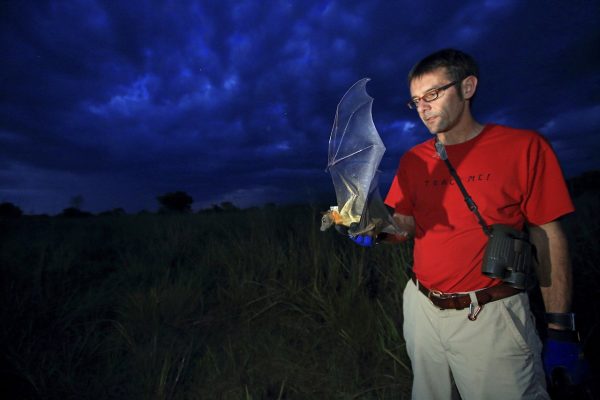 Osservazione degli animali dallo spazio: parte il progetto ICARUS