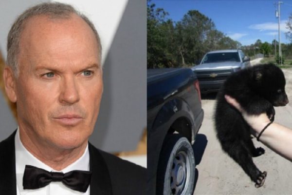 Michael Keaton kritisiert Fotoaufnahmen mit Bärenjungen