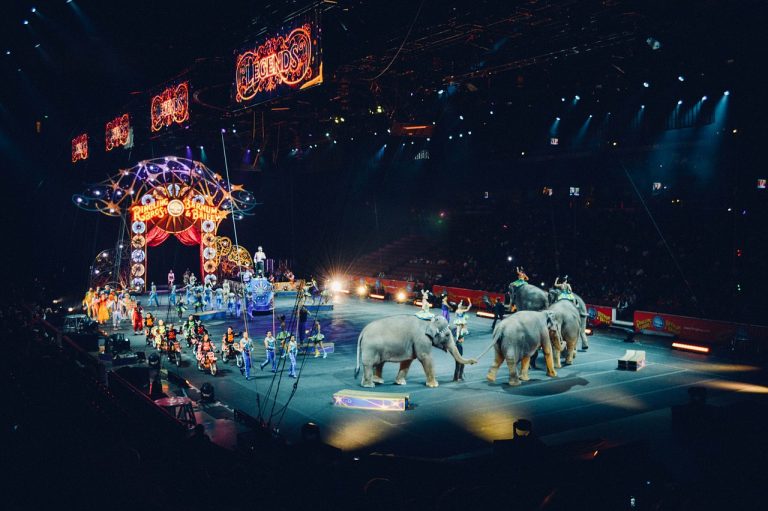 Deutschland Bundestag stimmt gegen Wildtierverbot im Zirkus