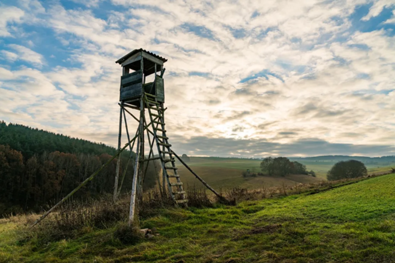 Hobby-Jäger auf verbotenen Hochsitzen: illegale Jagdpraktiken