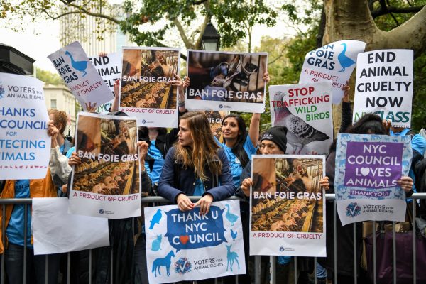 New York verbietet Foie Gras in der Gastronomie