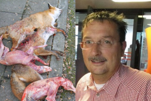 Extremisten terrorisieren Wildtiere Wenn Hobby Jäger zur Gefahr werden