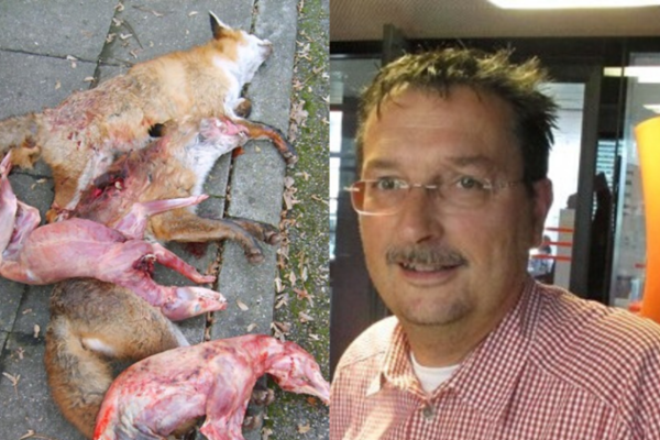 Des extremistes terrorisent les animaux sauvages : les chasseurs de loisir, un danger