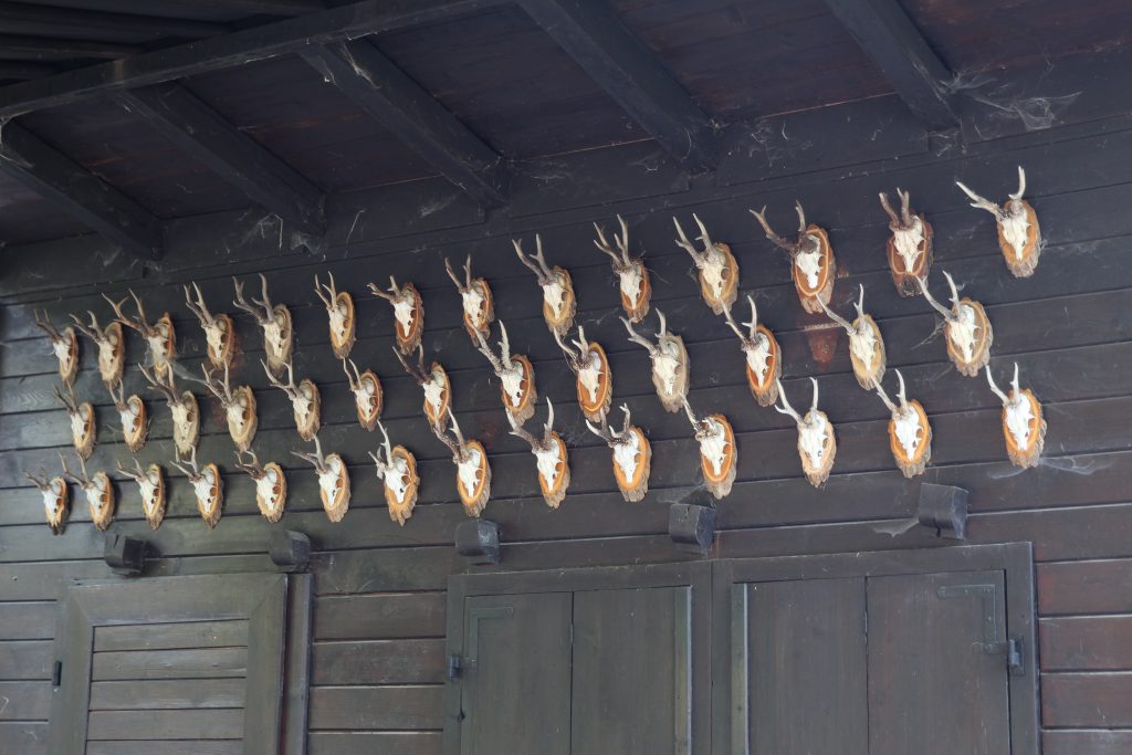 Jagdhütte Rickenbach