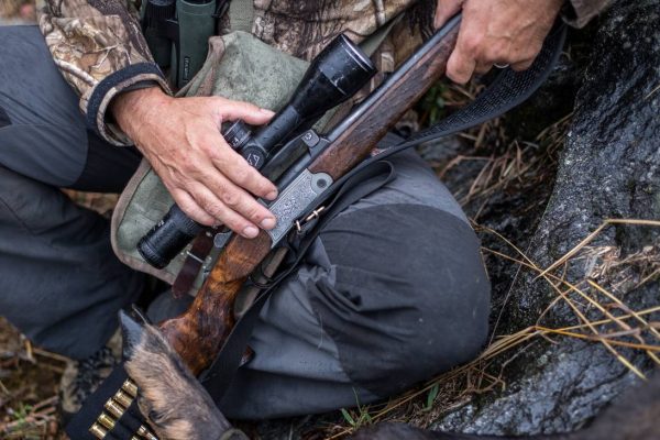 Ticino hobby hunters shoot at dog, sheep, horse and hunter