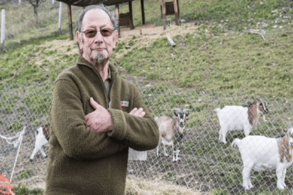 Valais: Hobby Hunter Shoots Billy Goat in Enclosure