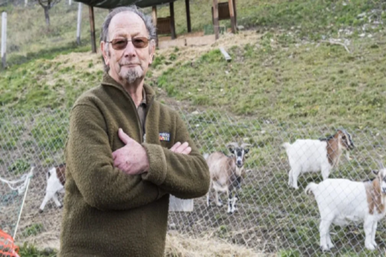 Ziegenbock erschossen Hat ein Hobby-Jäger das Tier getötet