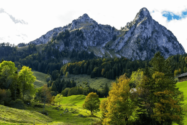Schwyz: Amt für Jagd und Fischerei aufgelöst