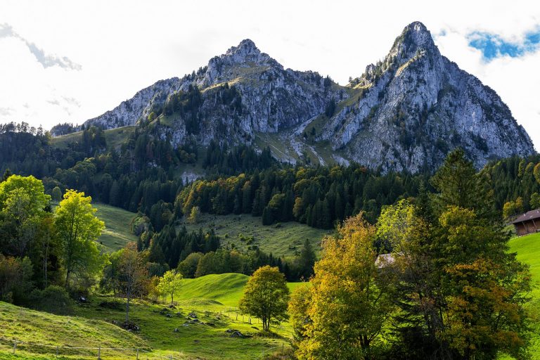 Amt für Jagd und Fischerei wird in Schwyz aufgelöst