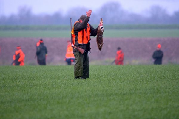 La violenza contro gli animali dovrà essere punita anche su Internet