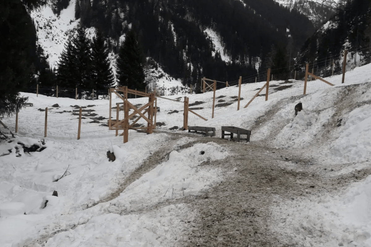 Tirol: Geballte, doppelte Gewalt