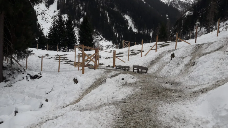 Tirol: Geballte, doppelte Gewalt