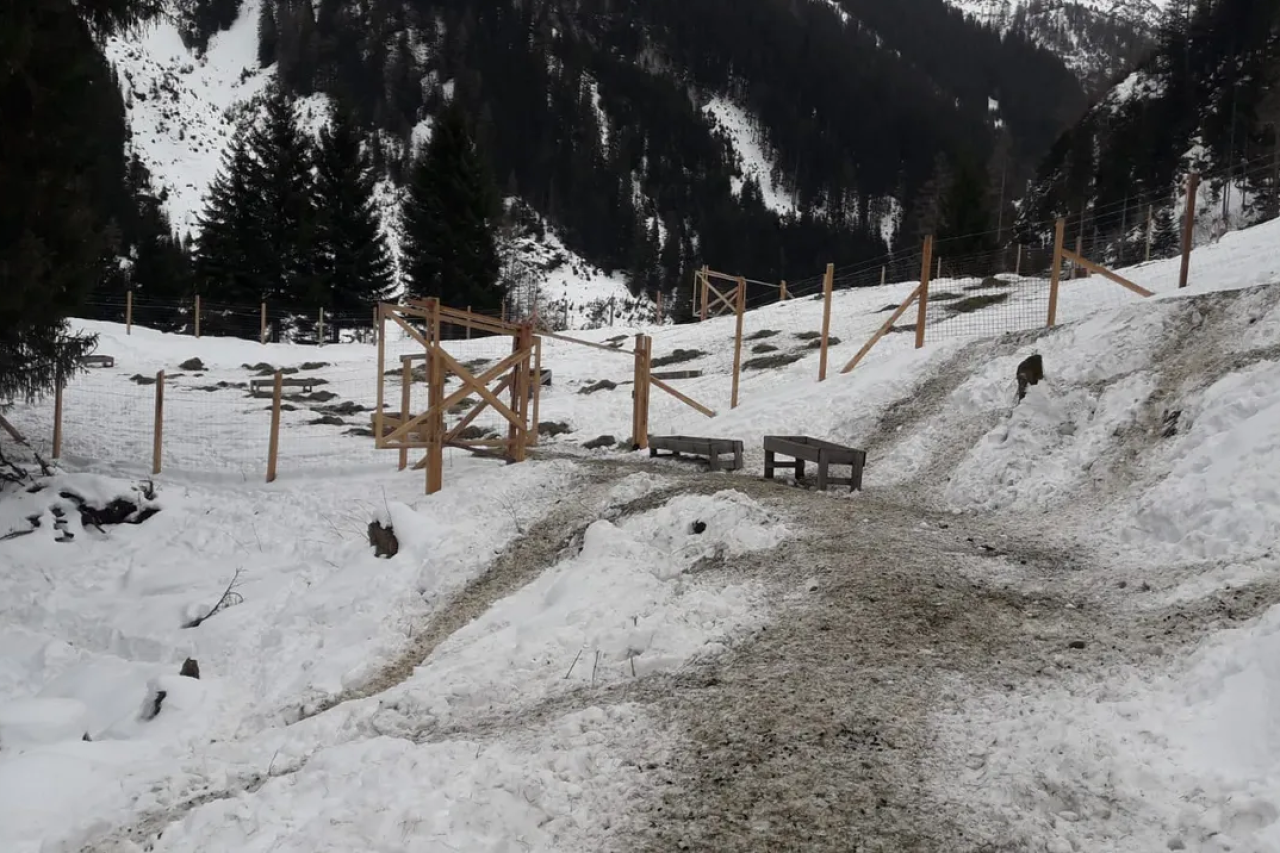 Tirol: Geballte, doppelte Gewalt