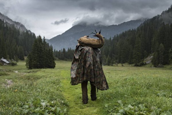 Hunting lodge: Hobby hunter arrested in Ticino