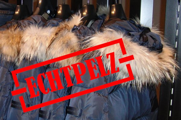 Zurich Animal Welfare Society outraged: Federal government covers up cruel furs