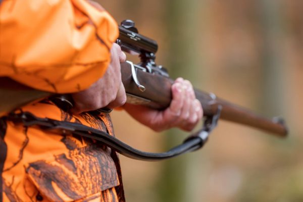 Hunting accident: hobby hunters shoot themselves