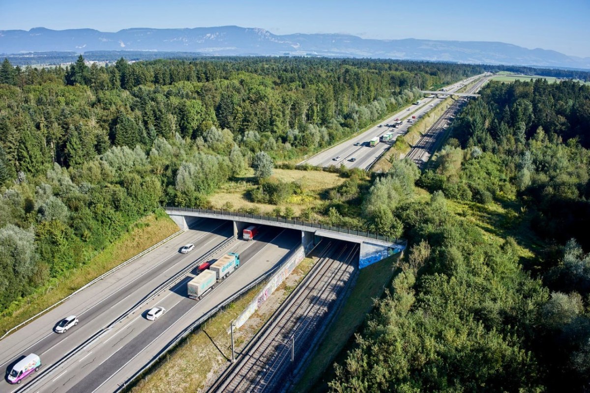 Neuenkirch Neue Wildtierbrücke über die A2