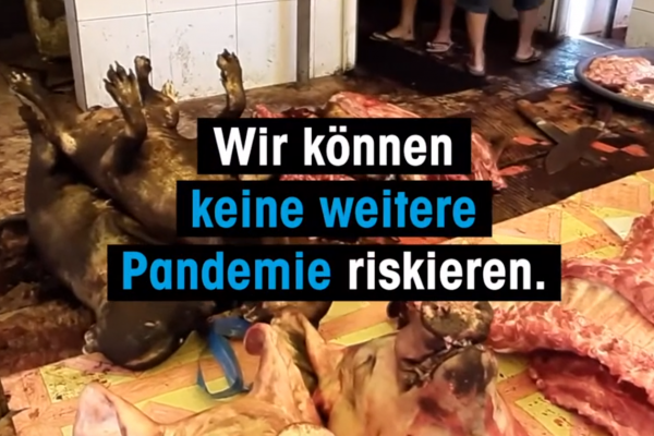 Asia: Bloody live animal markets still open