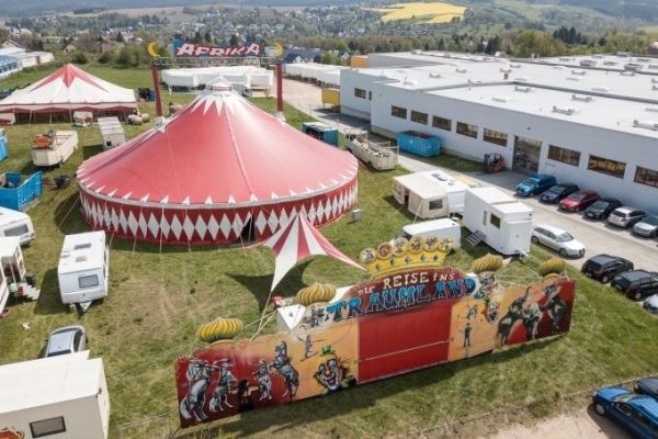 Circus Afrika: la sofferenza degli elefanti senza fine