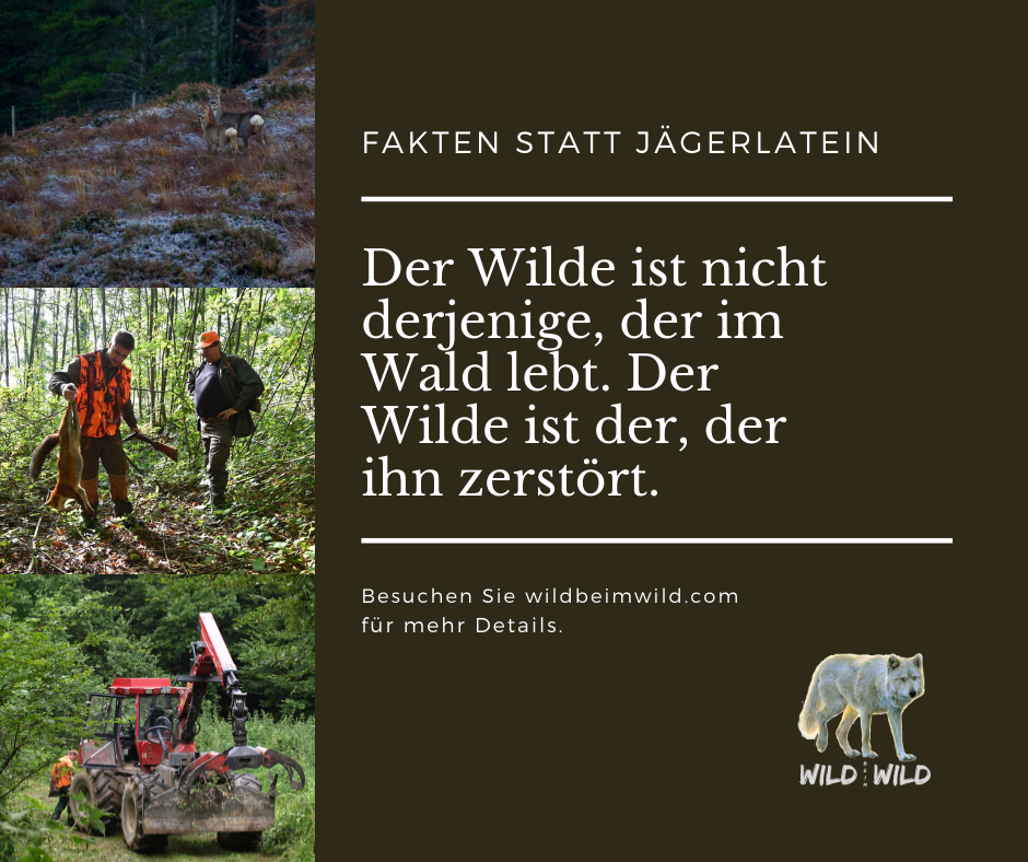 Globaler Wald-Notstand