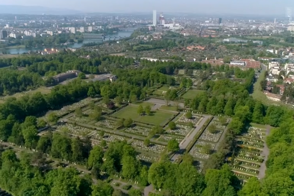 Cimitero: grida di protesta prima del massacro dei caprioli