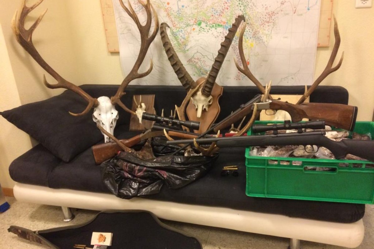 Wallis: 12 Hobby-Jäger wegen Wilderei angezeigt