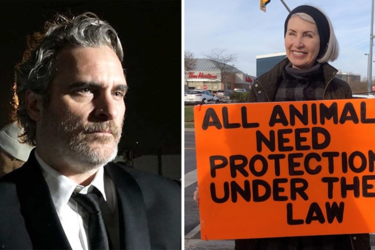 Joaquin Phoenix: Würdigt vor Schlachthaus getötete Tierschützerin
