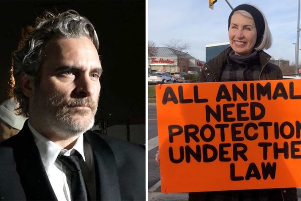 Joaquin Phoenix: Würdigt vor Schlachthaus getötete Tierschützerin