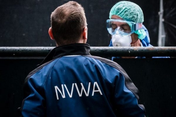 Pelztier-Farmen: Niederlande vergast Nerze wegen Corona