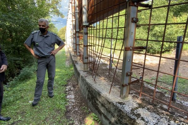 Braunbär M49 wieder auf der Flucht